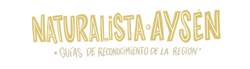 Logo Naturalistas Aysén
